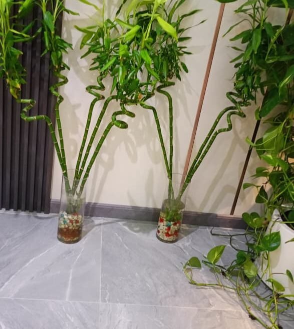 Interior Fit Outs